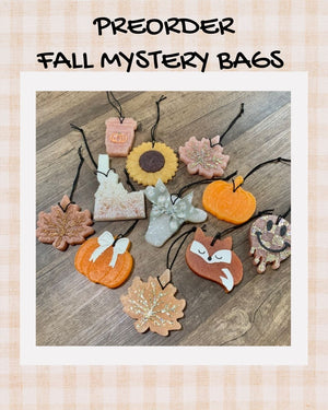 **PREORDER Fall Mystery Bag | 3 Freshies