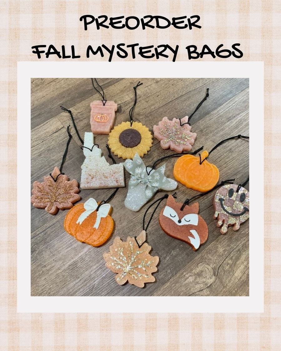 **PREORDER Fall Mystery Bag | 3 Freshies