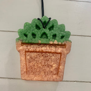 Potted Succulent | Balsam Scent