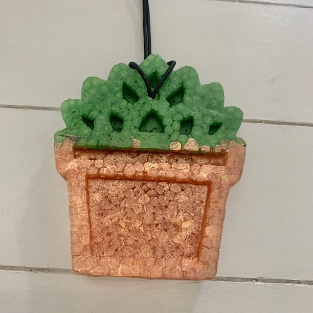 Potted Succulent | Balsam Scent