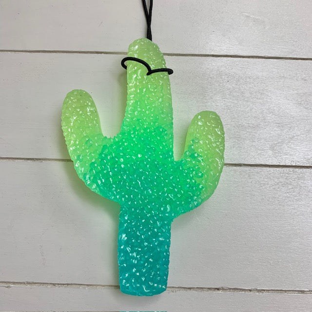 Large Ombre Cactus | Peachy O Scent