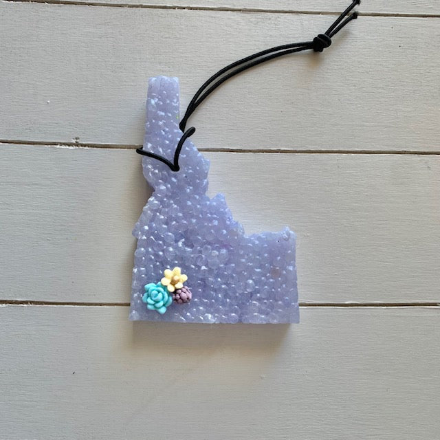 Idaho with Succulents | Volcano Scent