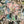 Load image into Gallery viewer, Mystery Gift Givers Bag | 3 Freshies

