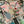 Load image into Gallery viewer, Mystery Gift Givers Bag | 3 Freshies
