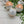 Load image into Gallery viewer, **NEW** Bath Bombs - BUY 3 Get 1 Free -
