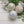 Load image into Gallery viewer, **NEW** Bath Bombs - BUY 3 Get 1 Free -

