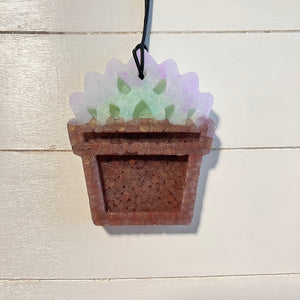 Potted Succlent | Lavender & Sage With Dark Brown Pot | Marshmallow Fireside Scent