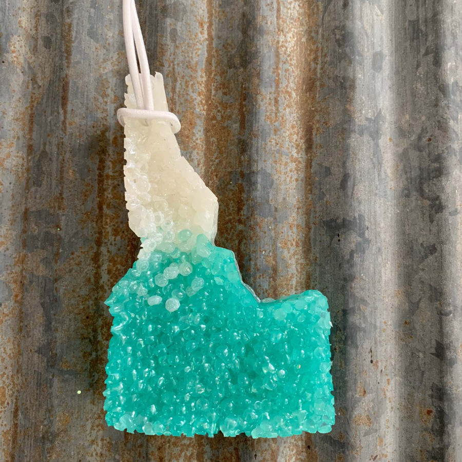 Idaho Car Freshie | Ombre Teal & White | Tropical Cowboy Scent