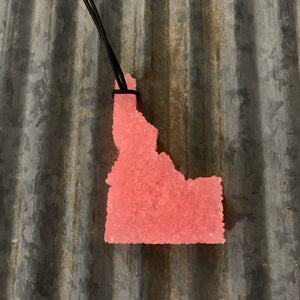 Idaho Car Freshie | Peach Color With Succulents | Coconut & Vanilla Scent