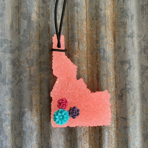 Idaho Car Freshie | Peach Colors With Succulents | Lollipop Scent