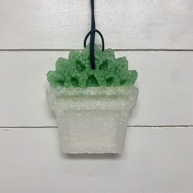 Potted Succulent | Green/White Gold | Sea Salt Orchid Scent