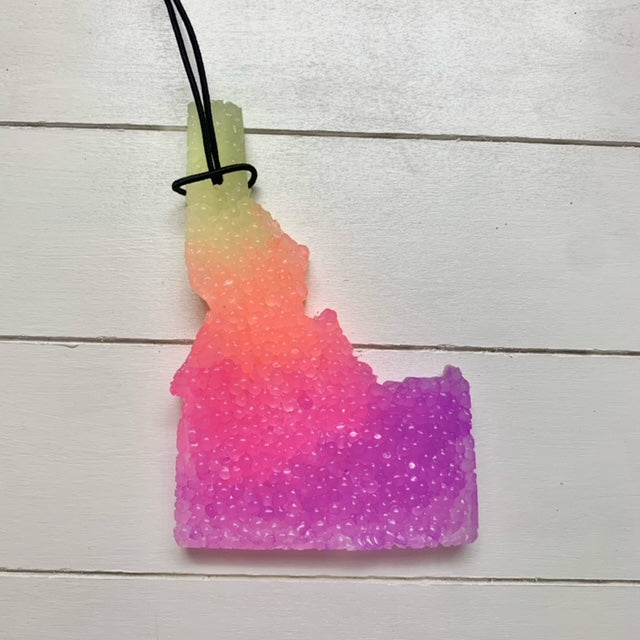 Large Idaho | Neon Ombre | Naked Cactus Scent